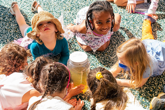 Nature Centers of Montgomery Parks Will Have Special Programs in August Including Family Fire Night and Treasure Hunting in Wheaton Regional Park